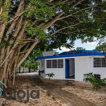 Villa Xtohil With Private Access To The Magic 7 Colors Lagoon Bacalar Luaran gambar