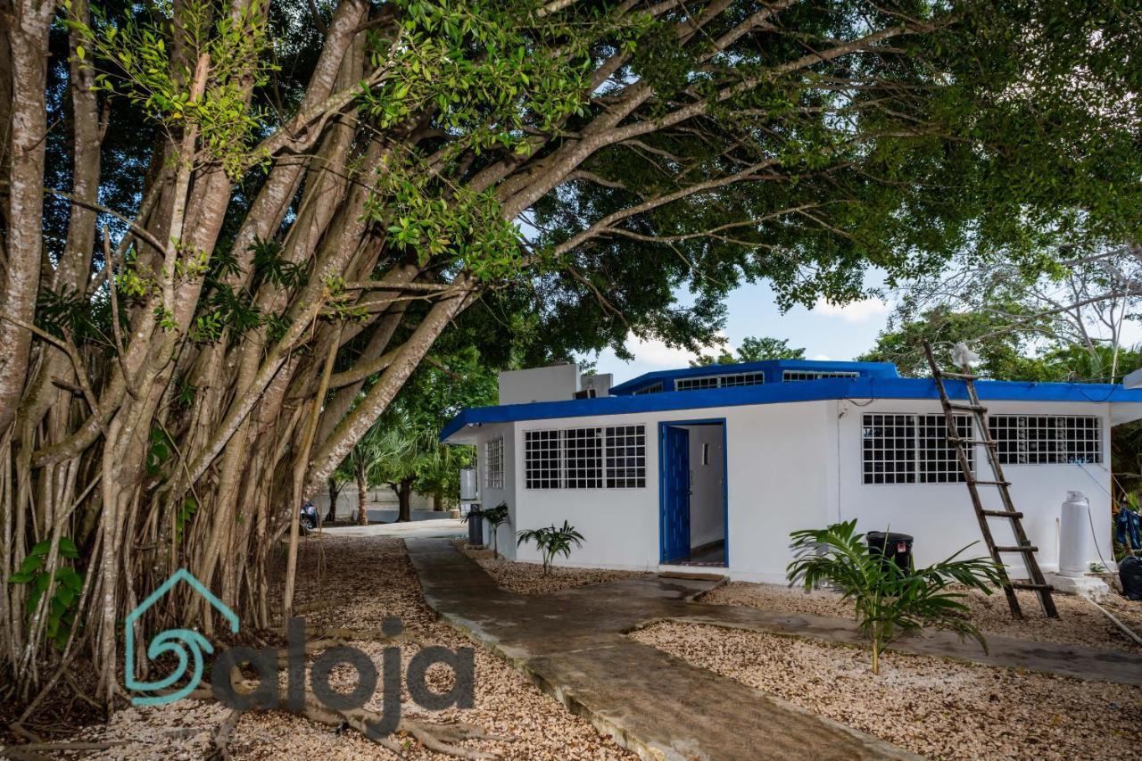 Villa Xtohil With Private Access To The Magic 7 Colors Lagoon Bacalar Luaran gambar