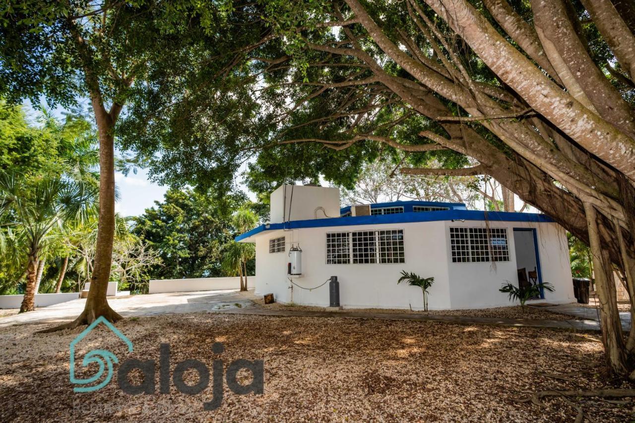 Villa Xtohil With Private Access To The Magic 7 Colors Lagoon Bacalar Luaran gambar